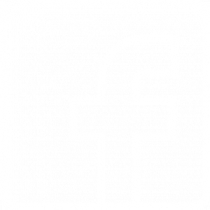 Icône Facebook blanc
